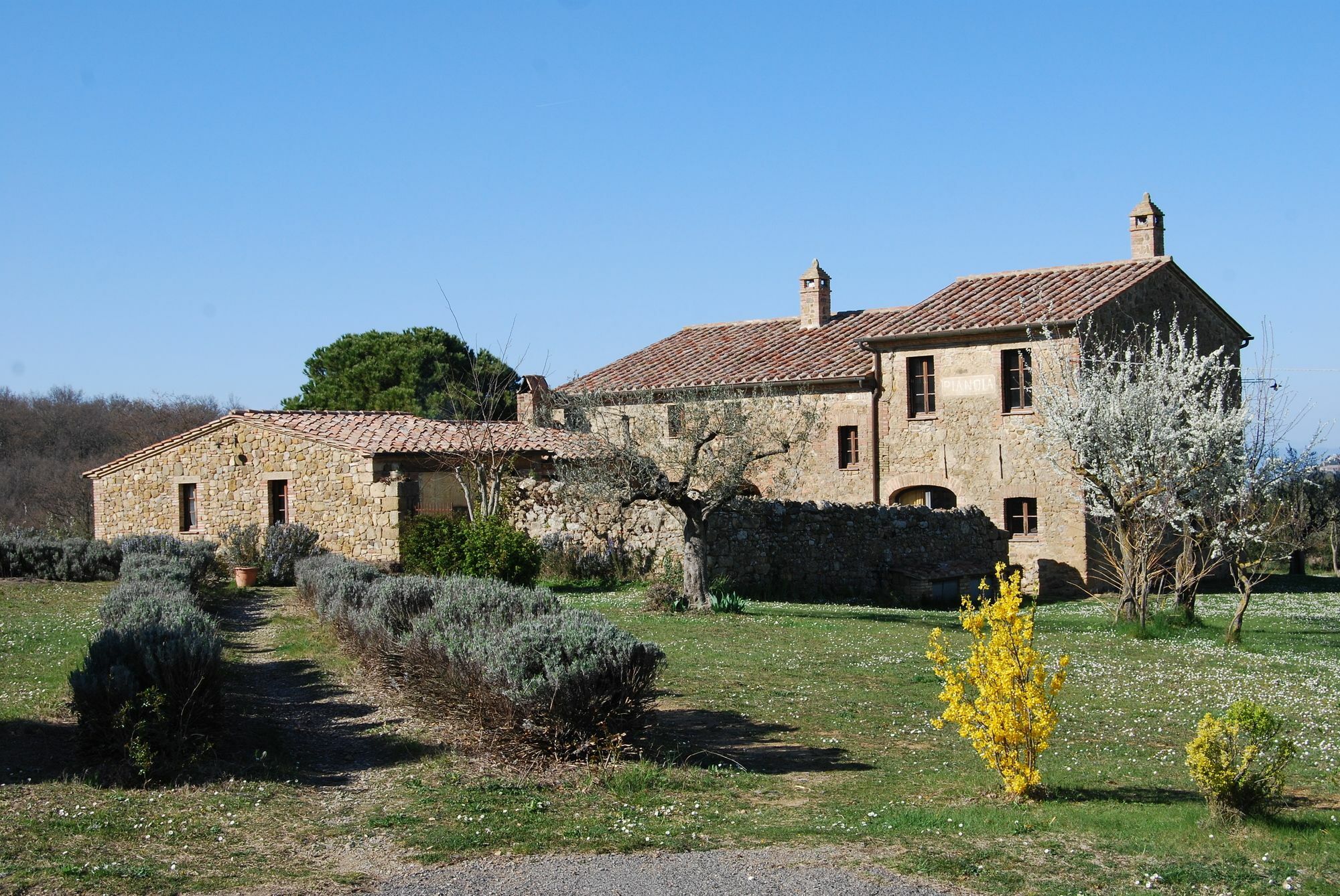Agriturismo Pianoia Pienza Exterior foto